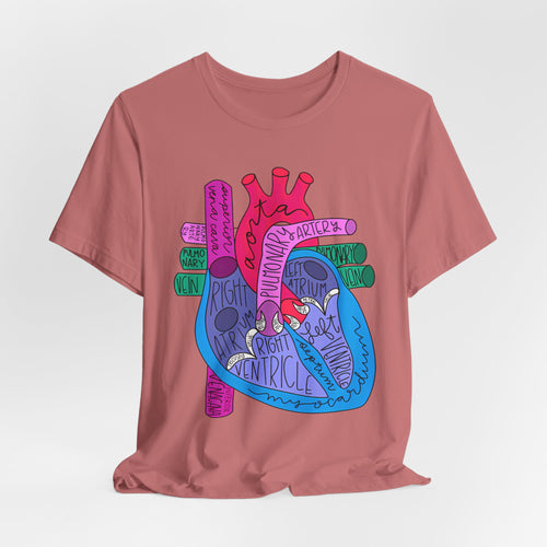 Anatomical Heart Diagram Tee — Colorful Labeled Cardiac Anatomy Shirt