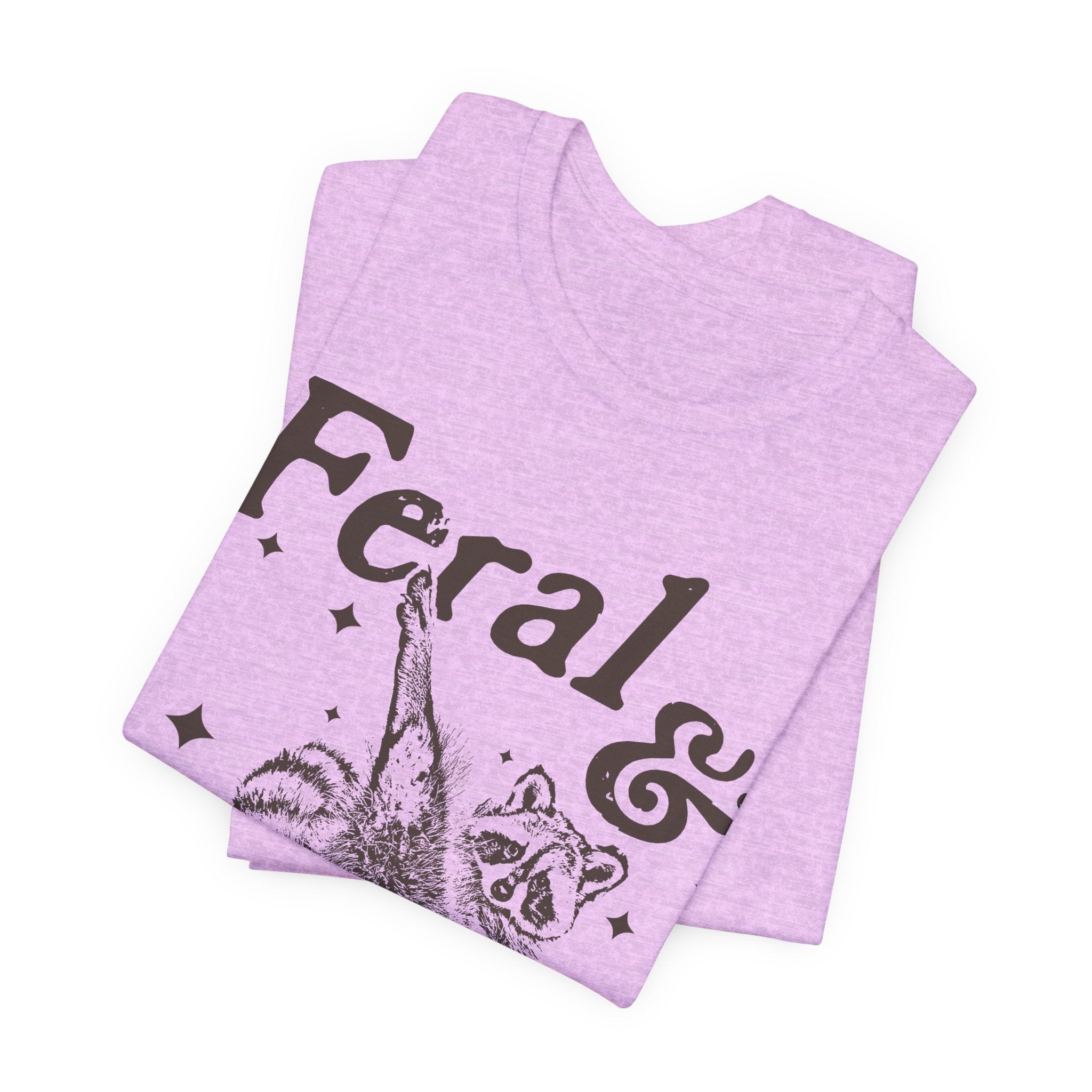 Feral & Sterile Raccoon Tee — Cute Spayed/Neutered Pet Awareness Shirt