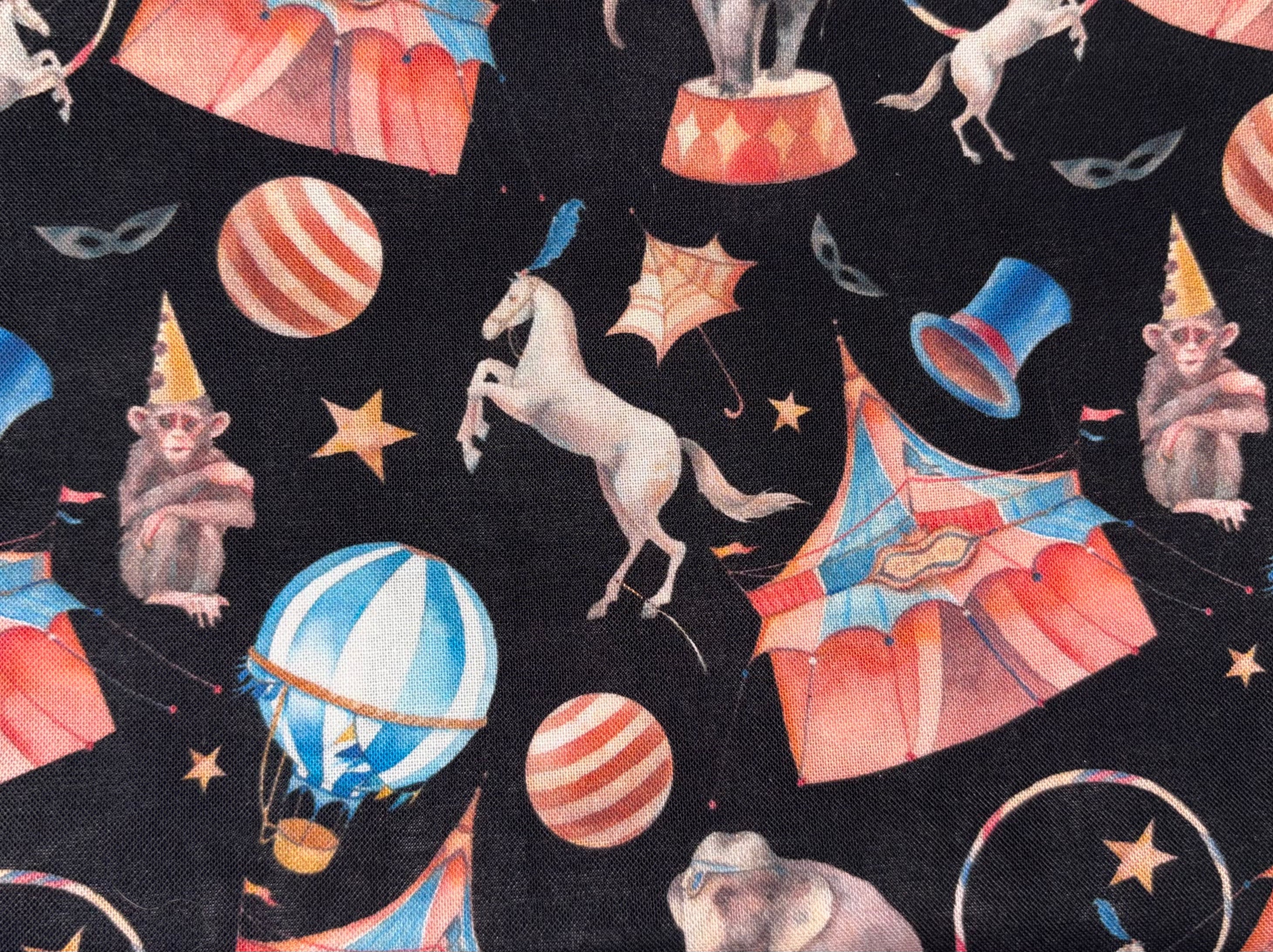 Circus