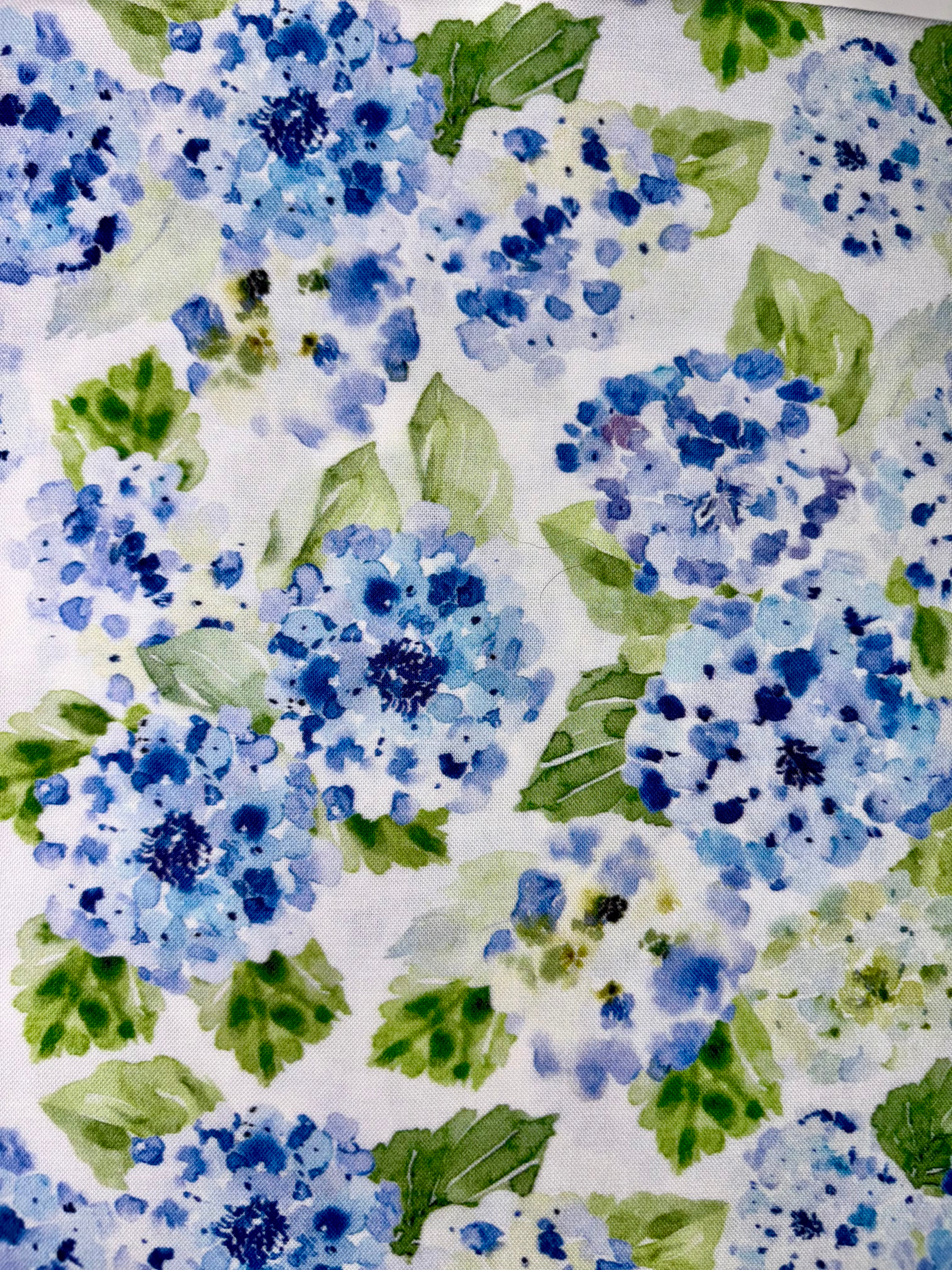 Blue Hydrangeas