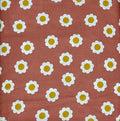 Medium Coral Daisy