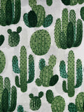 Medium Cactus on white