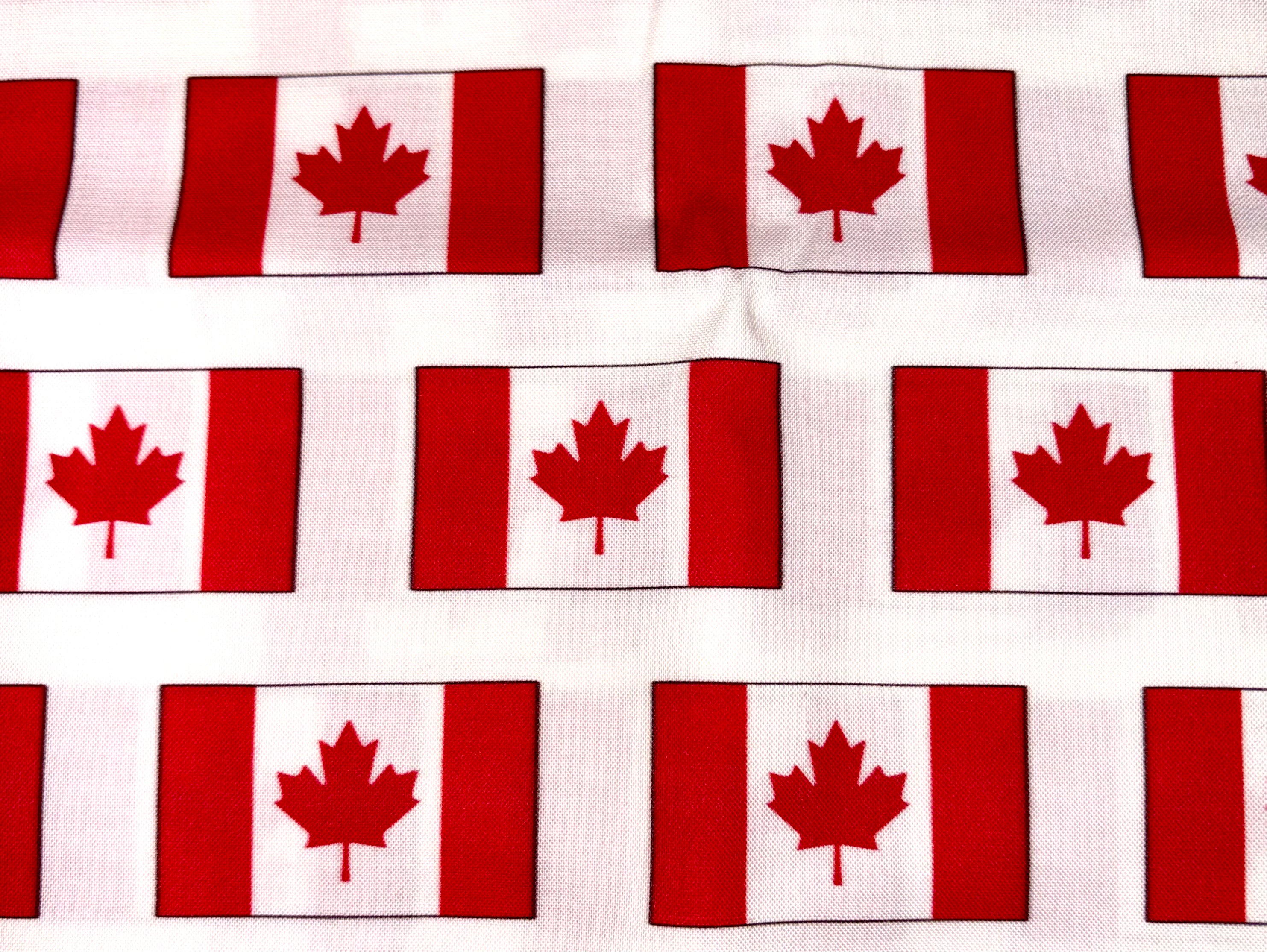 🇨🇦