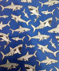 Sharky