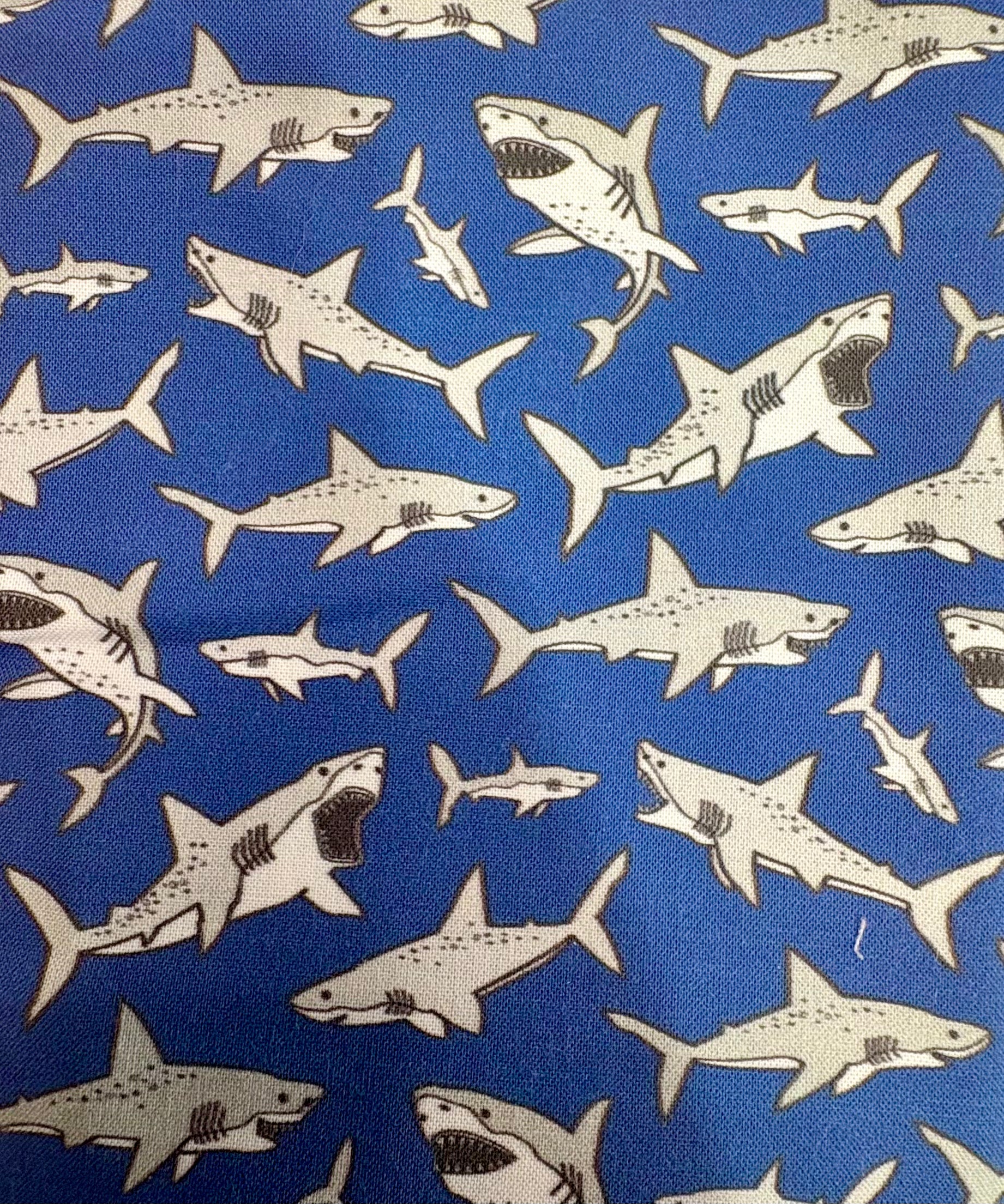 Sharky