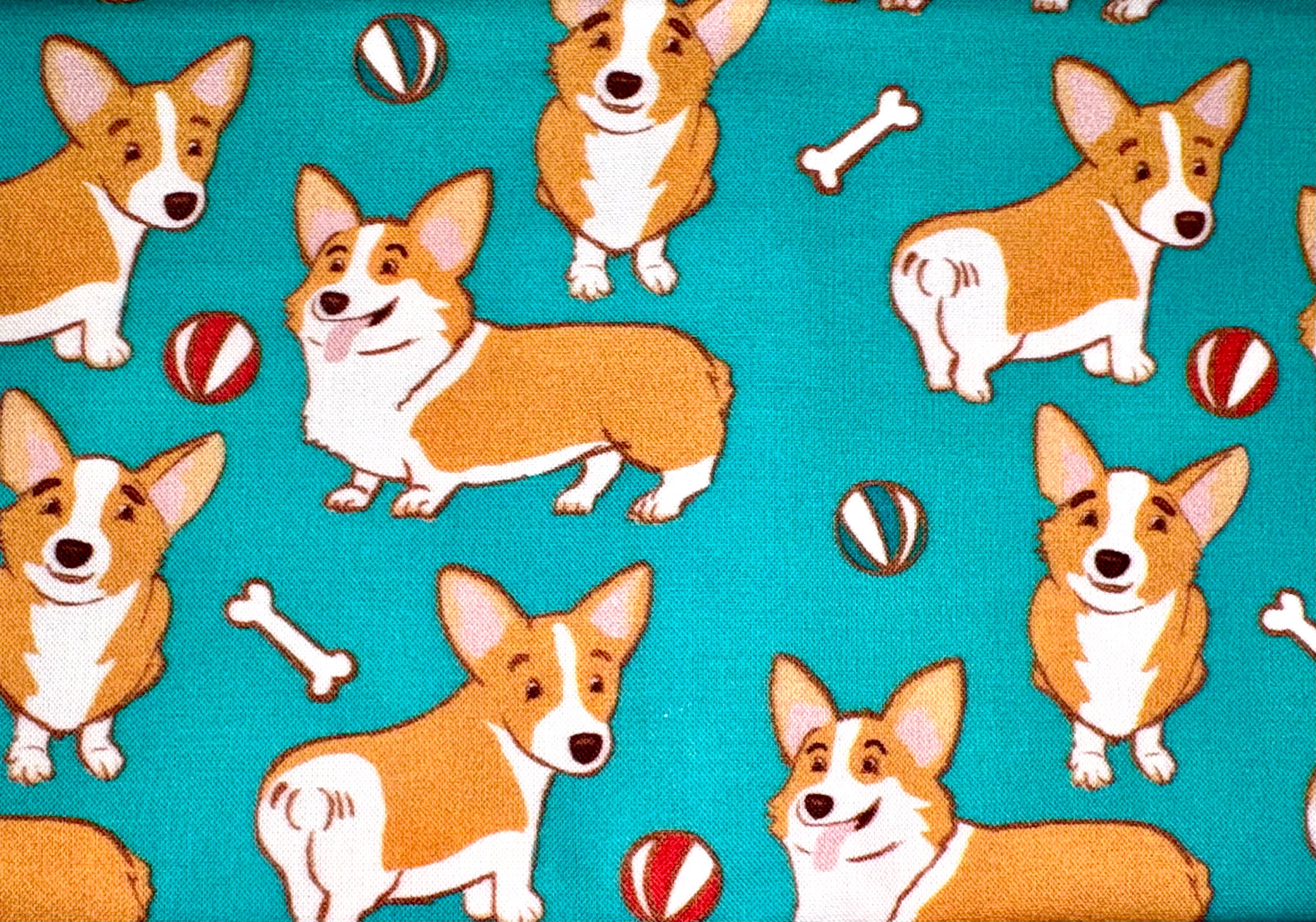 Corgi