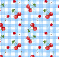 Summer Cherry Gingham