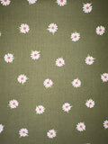 Olive Daisy