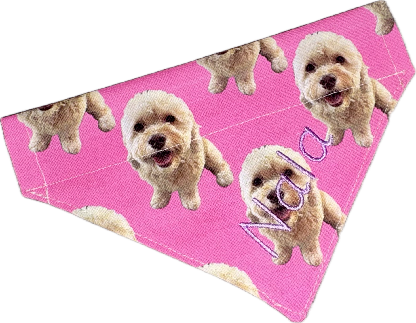 Custom Print - The Collar Edit