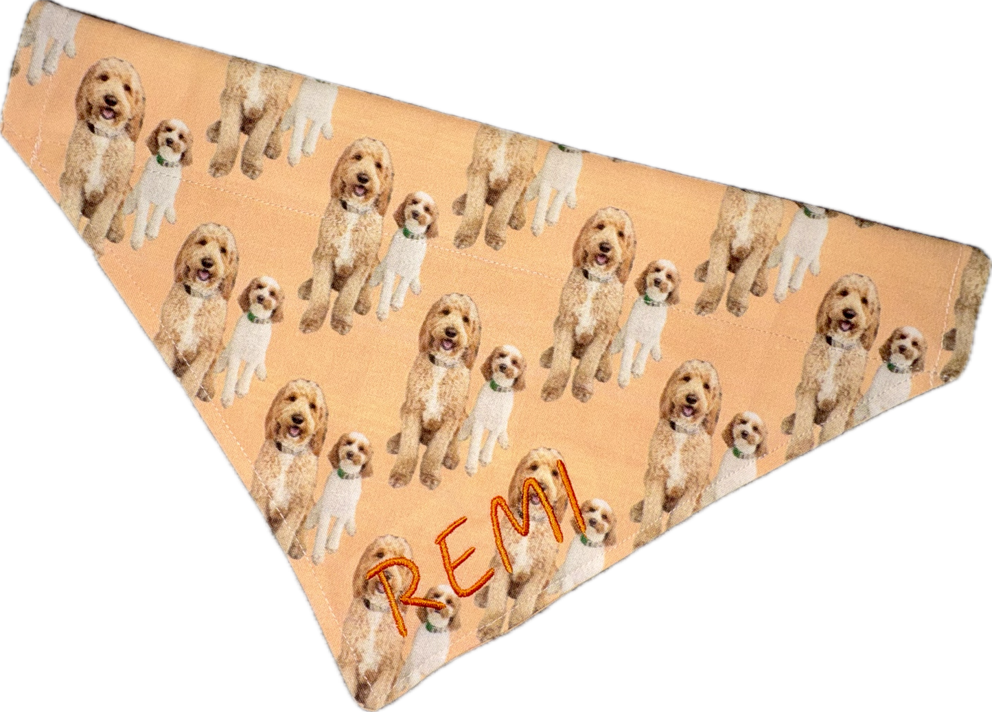 Custom Print - The Collar Edit