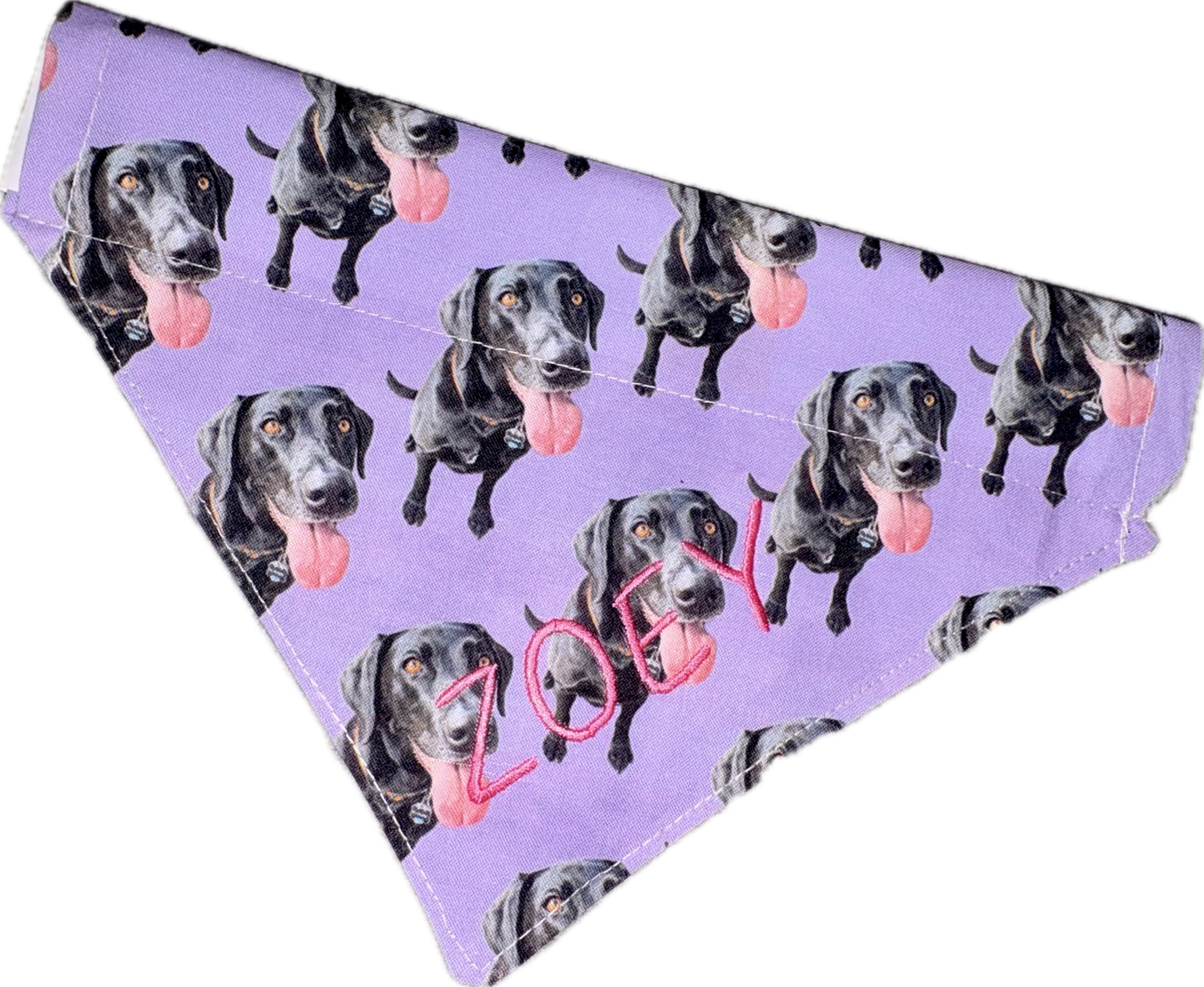 Custom Print - The Collar Edit