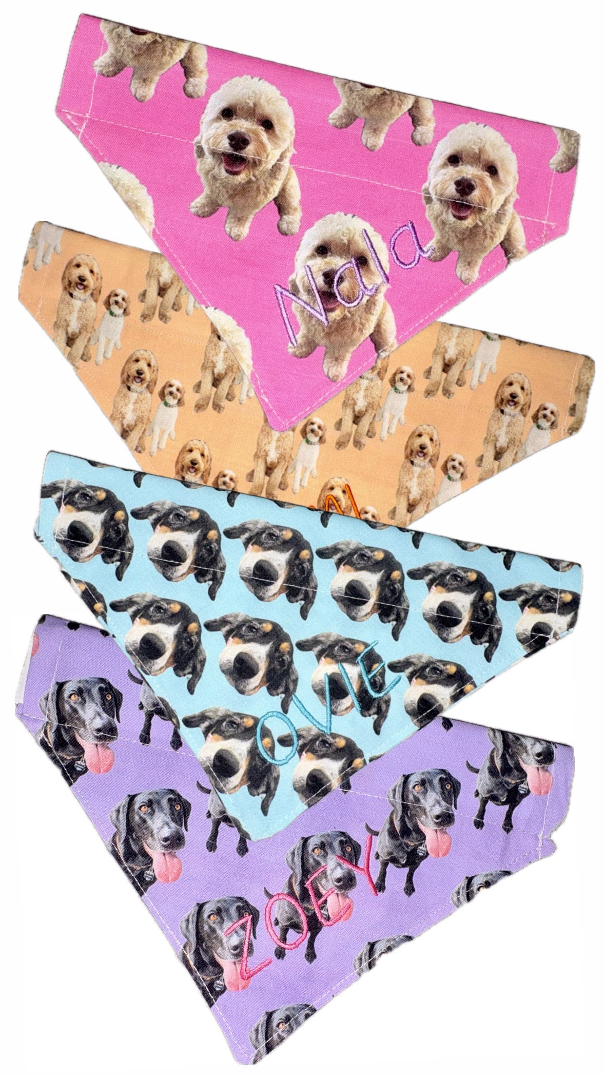 Custom Print - The Collar Edit